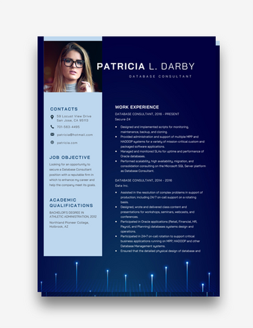 Blue Database Consultant CV