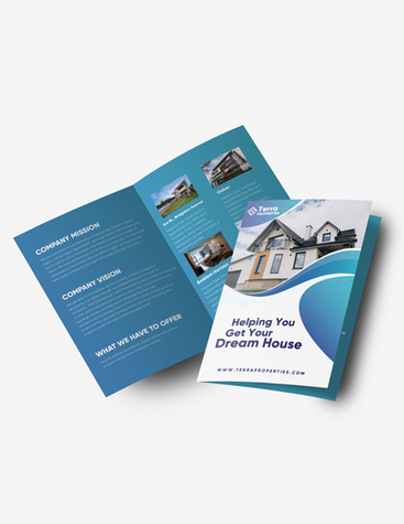 Blue Realty Company Brochure