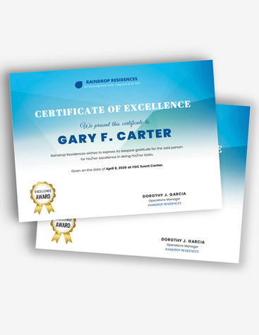 Stylish Excellence Certificate