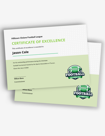 Sports Excellence Certificate