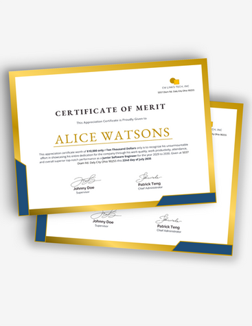 IT Company Merit Certificate