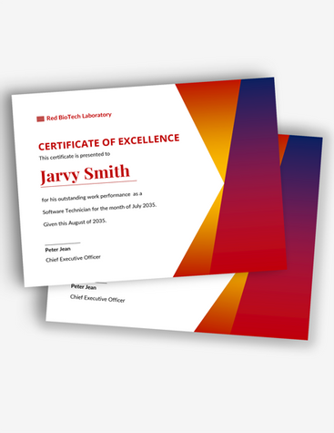 Vibrant Certificate of Excellence
