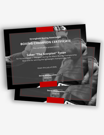 Monochromatic Boxing Certificate