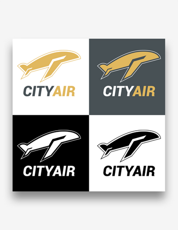 Local Airlines Logo