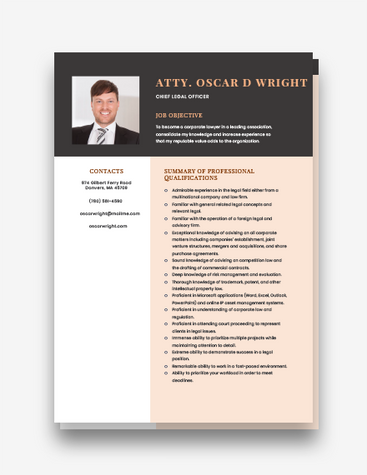 Chief Legal Officer Resume