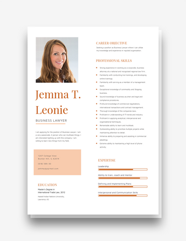 Business Lawyer Resume