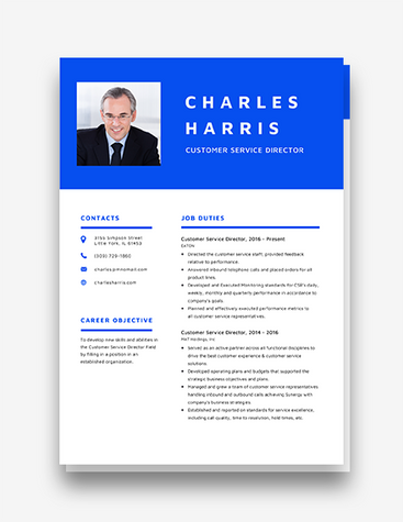 Cohesive Client Support Director Resume