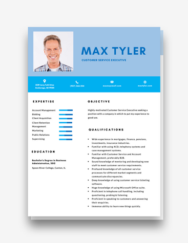 Blue Customer Service Executive CV