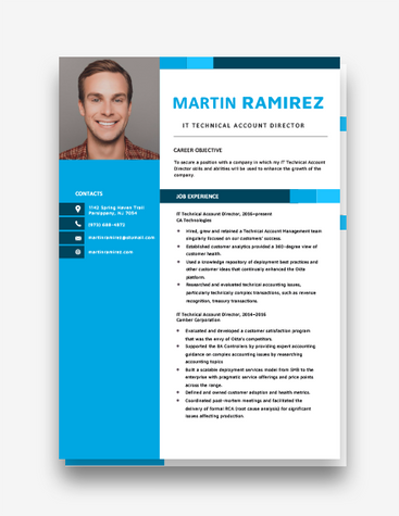 IT Technical Accountant Resume