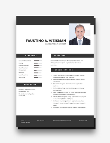 Business Project Manager CV