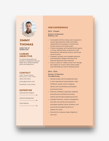 Director of Operation Resume